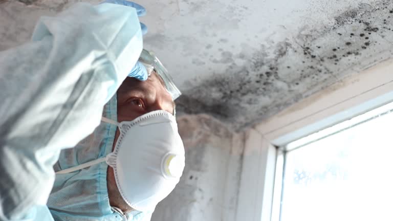 Mold Remediation for Rental Properties